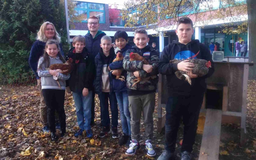 Hühnerprojekt an der Karl-Kessler-Schule