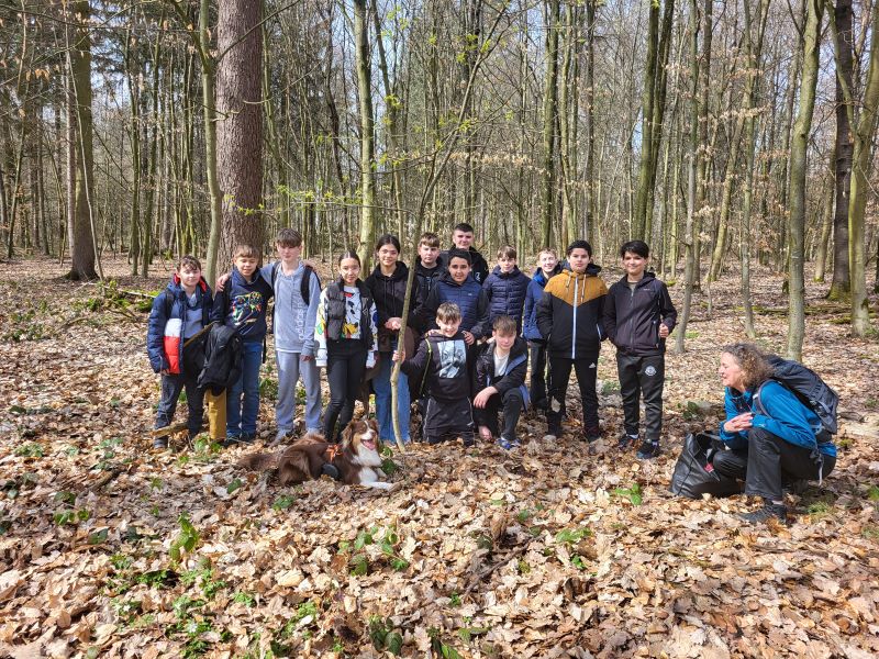 Den Wald entdecken mit dem WaldMobil